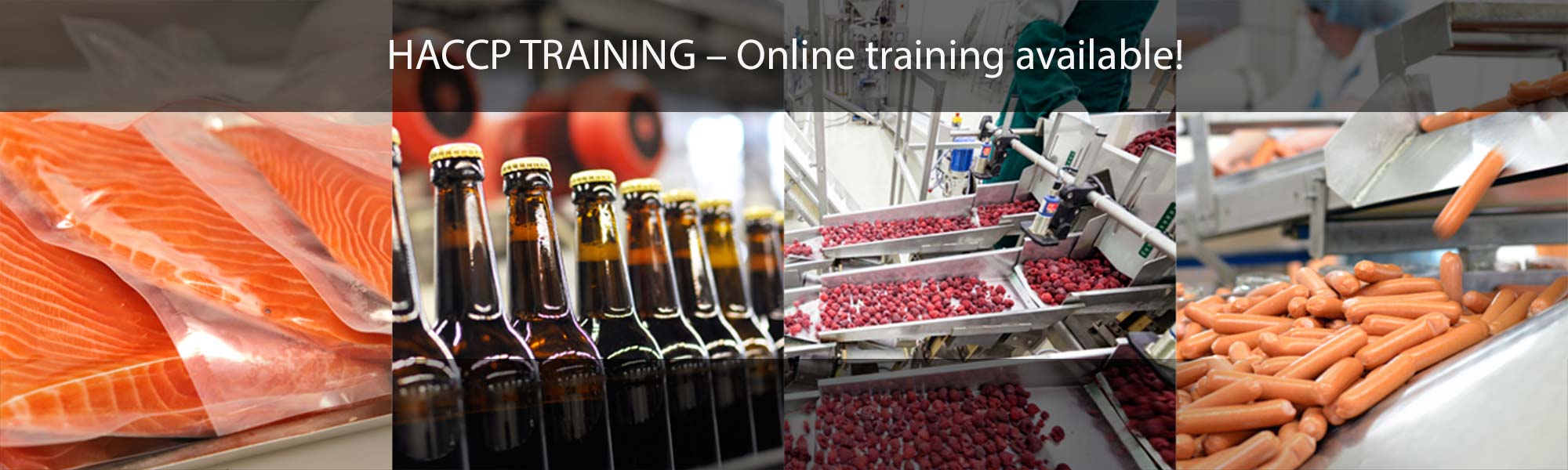 HACCP Online Training Available